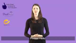 Learn Basic Greetings in British Sign Language BSL [upl. by Favian]