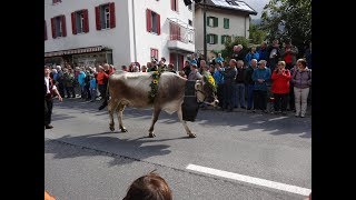 Switzerland Travel Tips Entlebucher Alpabfahrt in Schüpfheim [upl. by Ididn]