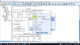 analisis de datos descriptivos spss [upl. by Rikki]