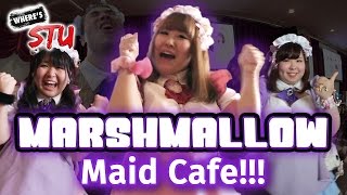 Japans First PLUSSIZE Maid Cafe Marshmallow Cafe [upl. by Harmaning]