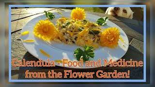 Calendula Description  Edible Flower with Medicinal Benefits [upl. by Rick698]