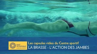 La brasse – L’action des jambes [upl. by Harlin]