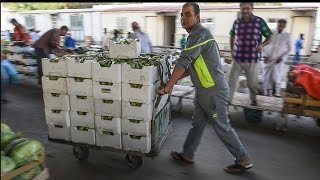 Vegetable Market  Doha Qatar [upl. by Selene386]