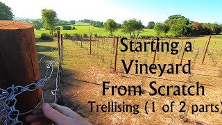 Starting a Vineyard from Scratch PART 4  Vineyard Trellising End post Main Trellis and Stakes [upl. by Ttej617]