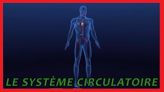 Le système circulatoire [upl. by Tarazi]