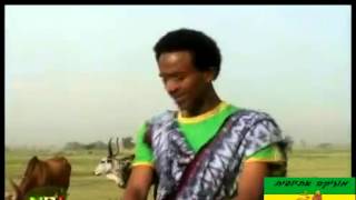 Mulu Wubet  Sekota Official Video  ግኻ ግርድ ሳቁጠ  Ethiopian Music 2019 [upl. by Yntrok302]