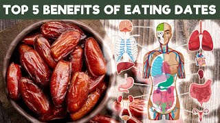 5 Proven Health Benefits of Dates [upl. by Venterea364]