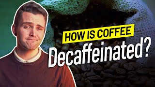 How is Coffee Decaffeinated [upl. by Tamra]