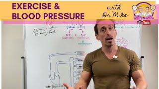 Exercise amp Blood Pressure [upl. by Eadrahc]