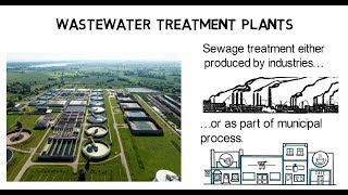 Wastewater treatment plant  How does it work [upl. by Rysler]