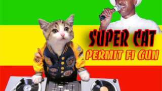 Super Cat  Permit Fi Gun [upl. by Megargee466]