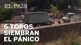 Seis toros siembran el pánico en los encierros de Vall dUixó [upl. by Lichtenfeld474]