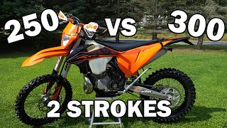 250 vs 300 2 Stroke  Why I Chose the 250 [upl. by Favin]