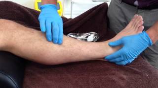 Dry Needling Extensor Digitorum Longus [upl. by Horbal224]