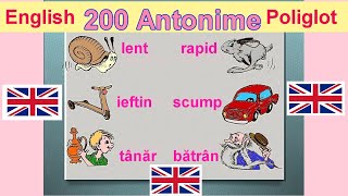 200 Antonime Engleze quot English Poliglotquot [upl. by Kelton]