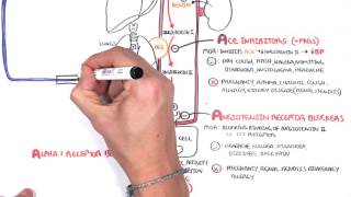 Pharmacology  Antihypertensives [upl. by Eelta]