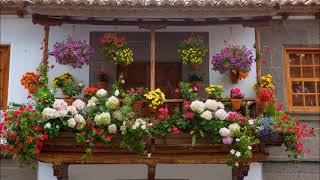 Casas con jardines hermosos [upl. by Ordnazil]