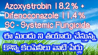 Azoxystrobin 182  Difenoconazole 114 SC  Systemic Fungicide innovativefarmingtelugu [upl. by Haddad]