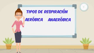 Respiración aeróbica y anaeróbica [upl. by Barron855]