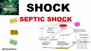 SHOCK Types Pathogenesis of Septic Shock [upl. by Capp]