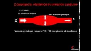 La circulation sanguine et la pression artérielle [upl. by Ikceb]