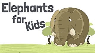 Elephants for Kids [upl. by Nellir]