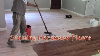 Staining Hardwood Floors [upl. by Ialocin153]