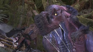 Monster Hunter World Anjanath Boss Fight 7 Solo  Hammer [upl. by Theurich362]