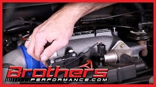 19962004 Mustang GT 73mm BBK Throttle Intake Installation And Dyno Test [upl. by Brackett]