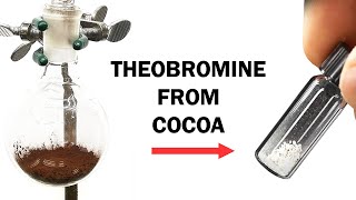 Extracting the theobromine from cocoa powder [upl. by Betteanne]