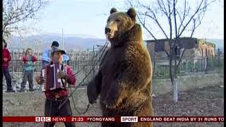 Brown dancing bear sanctuary Bulgaria  BBC News  4th August 2018 [upl. by Main132]