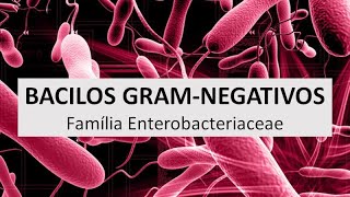 Microbiologia Médica Introdução aos Bacilos Gram Negativos Família Enterobacteriaceae [upl. by Namlak]