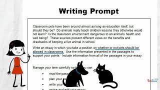 Analyze a Writing Prompt [upl. by Radborne]