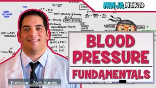 Cardiovascular  Fundamentals of Blood Pressure [upl. by Shreeves397]