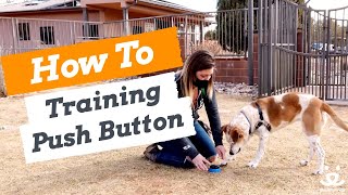 How to Train Your Dog  Push Button Training Learning to Speak [upl. by Nylacaj]