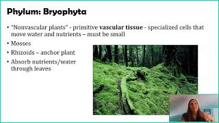 Seedless Nonvascular Plants [upl. by Pucida]