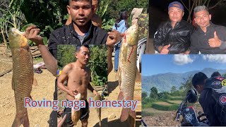 Roving Naga Homestay opening [upl. by Bully]