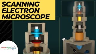 How Scanning Electron Microscope works  Engineering Videos  Animation LearnEngg Microscope [upl. by Llerdnod299]