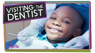 Visiting the Dentist  Health for Kids  SciShow Kids [upl. by Oicam]