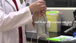 IV Fluids Setup for Canine Patient Veterinary Technician Education [upl. by Yziar162]