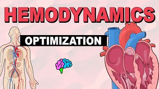 Manipulation amp Optimization  Hemodynamics Part 6 [upl. by Simonette]