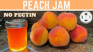 Peach Jam without Pectin  Useful Knowledge [upl. by Longley]