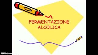 Fermentazione alcolica 20 [upl. by Terpstra12]