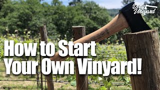 How To Start Your Own Vineyard  Season 1 Episode 1  How You Can Start a Vineyard [upl. by Rust203]