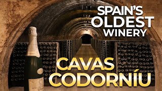 Spains oldest winery  Codorniu CAVA [upl. by Leasim]