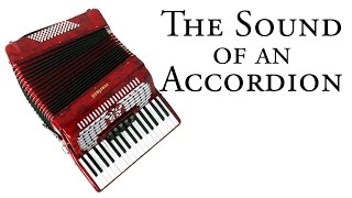 Sound of an ACCORDION [upl. by Locklin797]