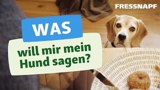 Körpersprache beim Hund  Hunde richtig verstehen [upl. by Aelaza880]