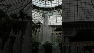 Grand Ole Opryland Nashville Delta Marketplace fountain [upl. by Aisya898]