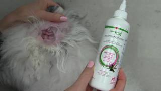 EFFITIX® Topical Solution for Dogs Repellency Demonstration [upl. by China]