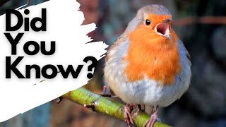 Things you need to know about ROBINS [upl. by Woodruff]